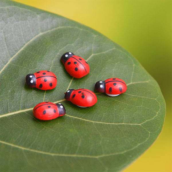 Ladybug plastic miniature garden toys - 5 Pieces