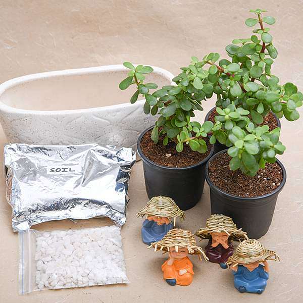 DIY Monks Wishing Feng Shui Good Luck - Miniature Garden - Image 3