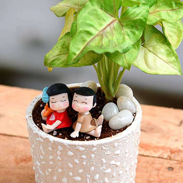 Share your love with Syngonium - Miniature Garden - Image 2