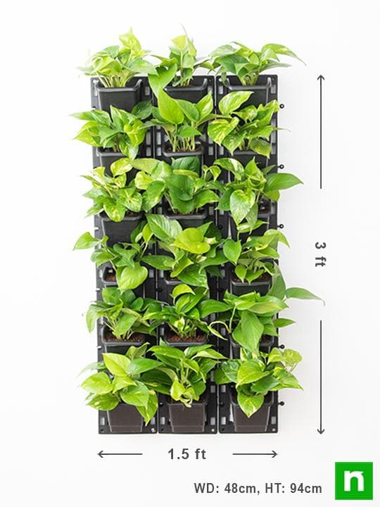 Oxygen Enriching Indoor Vertical Garden - Image 3