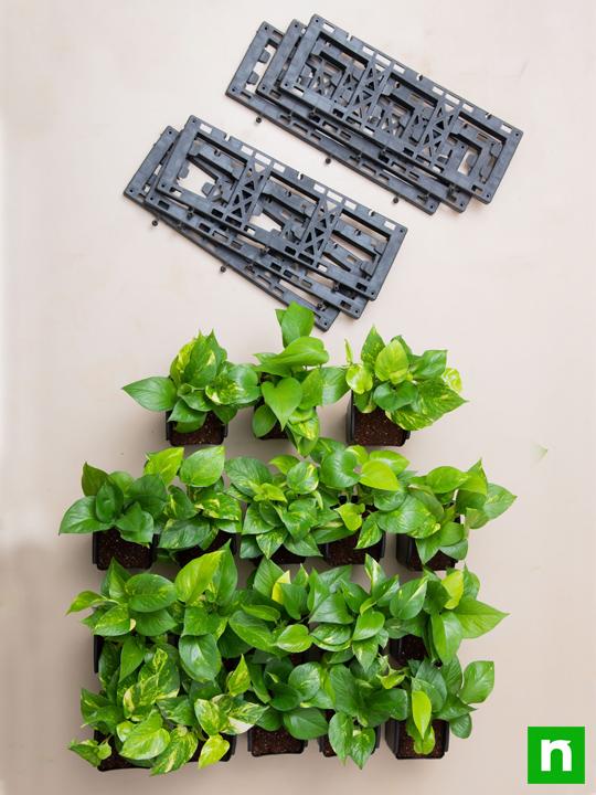 Oxygen Enriching Indoor Vertical Garden - Image 4