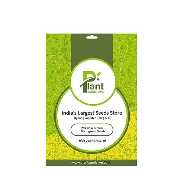 Pak Choy Green - Microgreen Seeds - Image 2