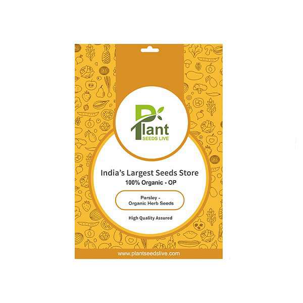 Parsley - Organic Herb Seeds - Image 2