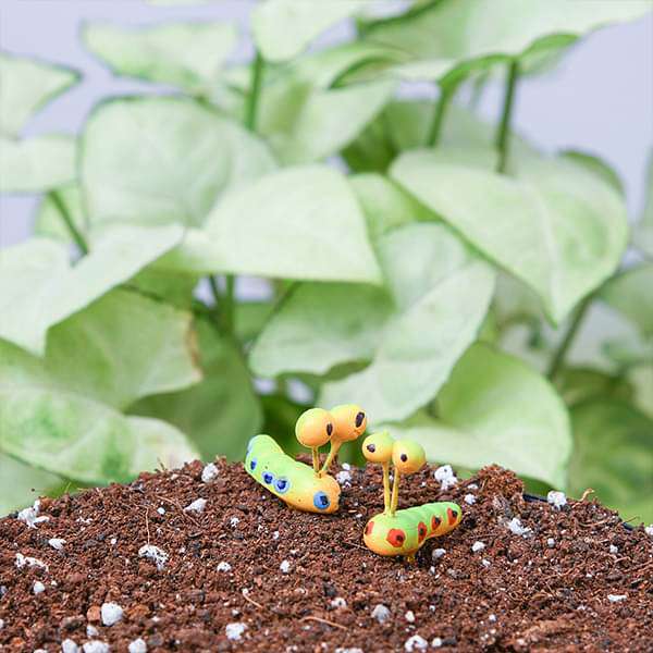 Pin caterpillars plastic miniature garden toys - 1 Pair