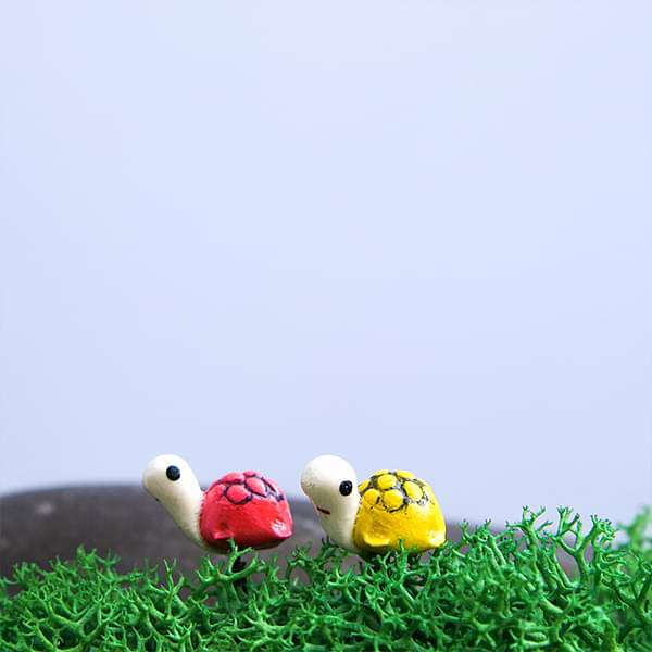 Pin tortoises plastic miniature garden toys (Random Color) - 1 Pair