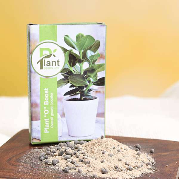 Plant O Boost (Overall Growth Booster, 10 g) (set of 10)