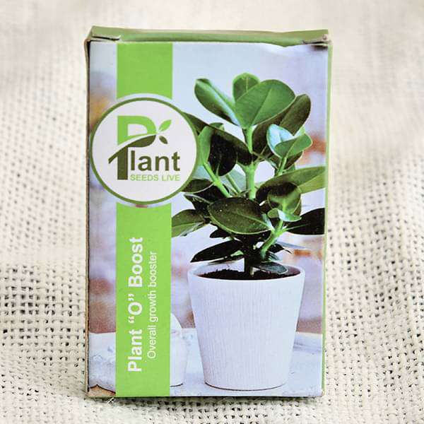 Plant O Boost (Overall Growth Booster, 10 g) (set of 10) - Image 2