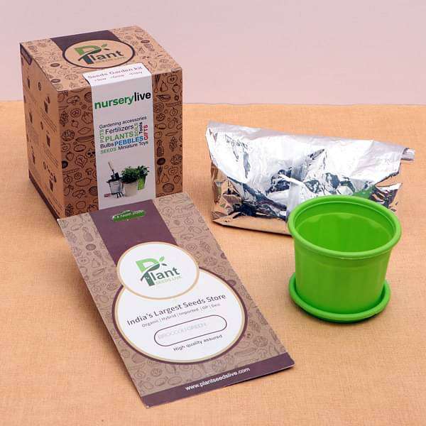 Pleasant Vinca Seeds Garden Kit - Corporate Gift (set of 30) - Image 2