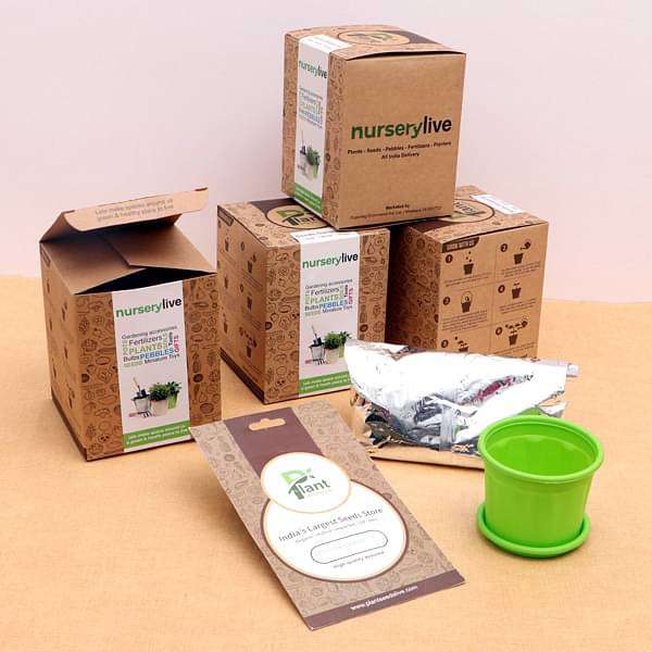Pleasant Vinca Seeds Garden Kit - Corporate Gift (set of 30) - Image 4