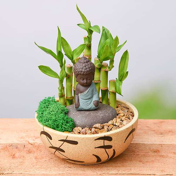 DIY Meditating Buddha - Miniature Garden - Image 2