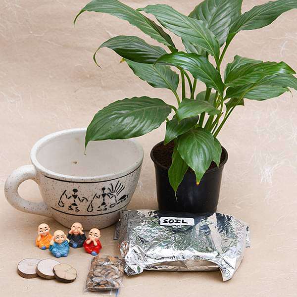 DIY Prosperity wishes from monks and plant - Miniature Garden - Image 2