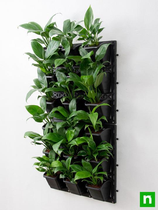 Purify Air Around You with Indoor Vertical Garden - Image 2