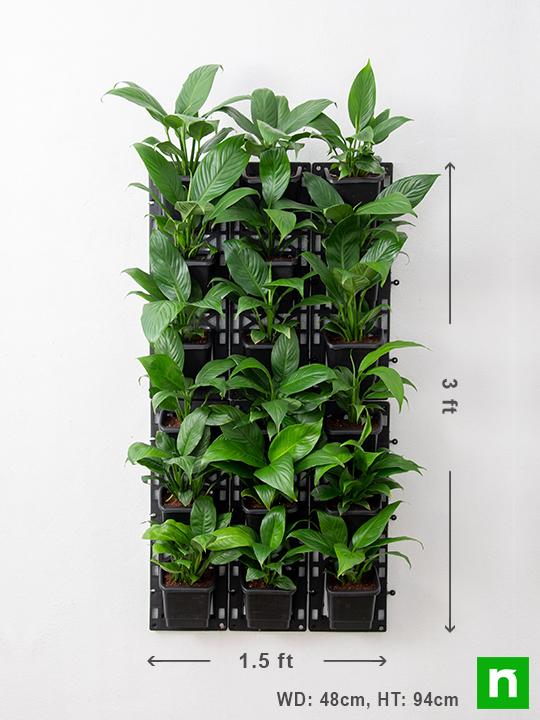Purify Air Around You with Indoor Vertical Garden - Image 3