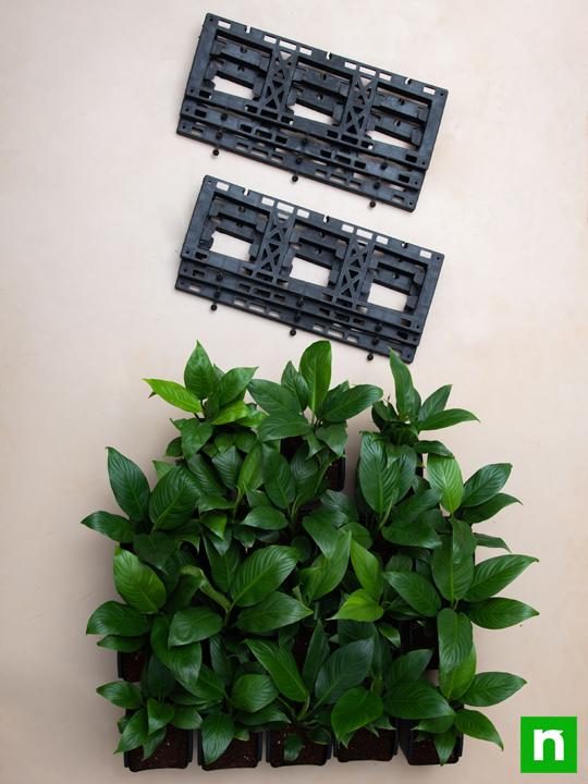 Purify Air Around You with Indoor Vertical Garden - Image 4