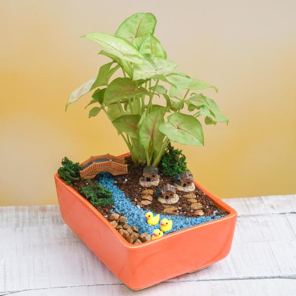 DIY Riverside village - Miniature Garden - Image 2