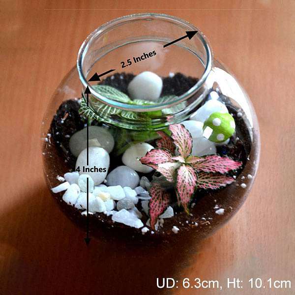 Round flask colorful terrarium (4in Ht) - Image 2