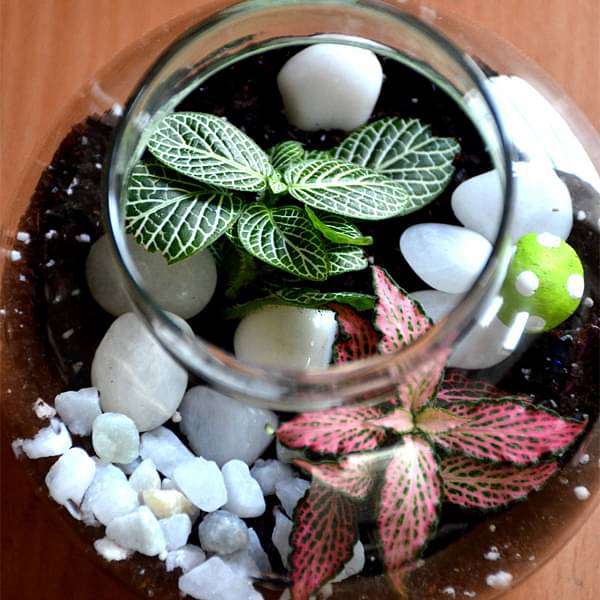 Round flask colorful terrarium (4in Ht) - Image 3