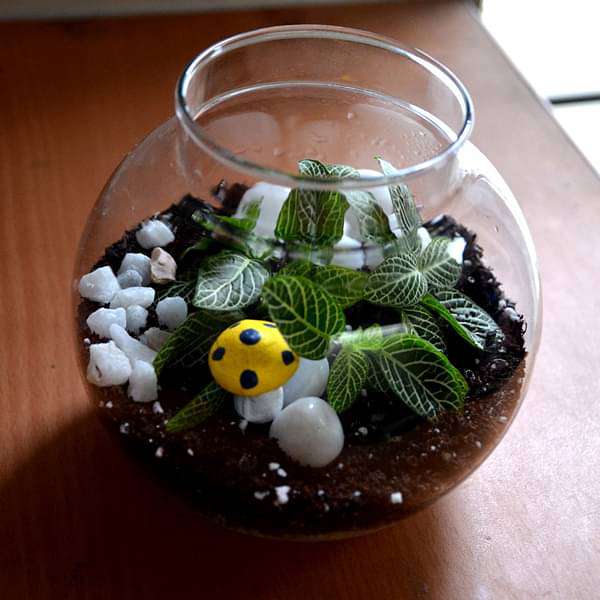 Round flask green terrarium (4in Ht)
