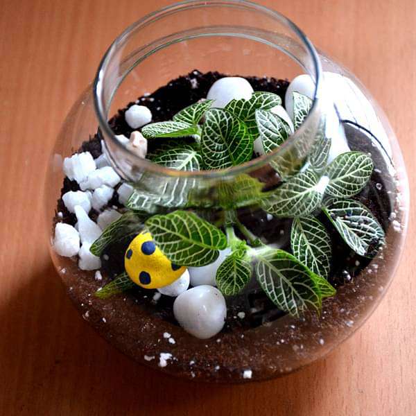 Round flask green terrarium (4in Ht) - Image 3