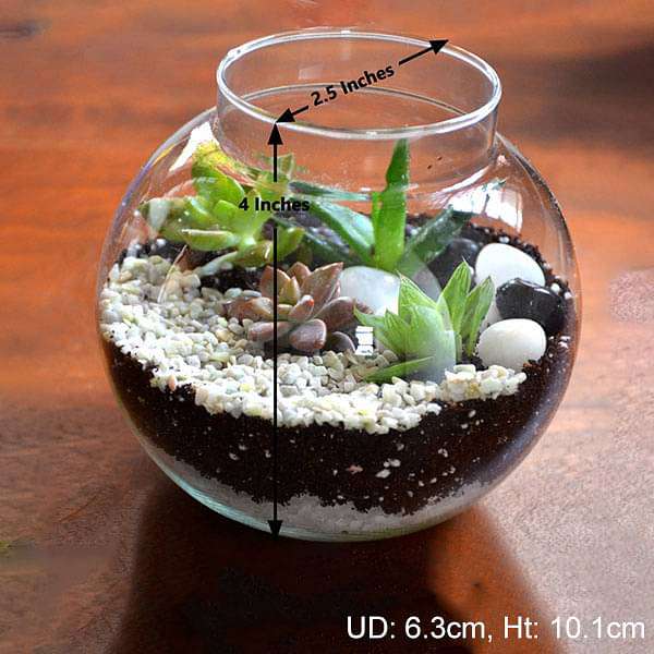 Round flask succulent terrarium (4in Ht) - Image 2