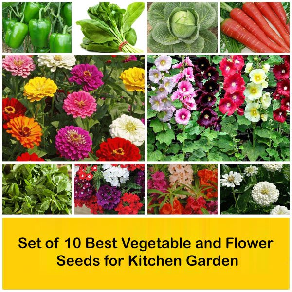 Set of 10 Best Vegetable and Flower Seeds for Kitchen Garden - Image 2