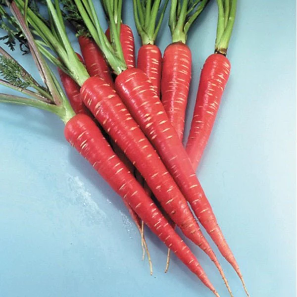 Set of 10 Best Vegetable Seeds for Kitchen Garden