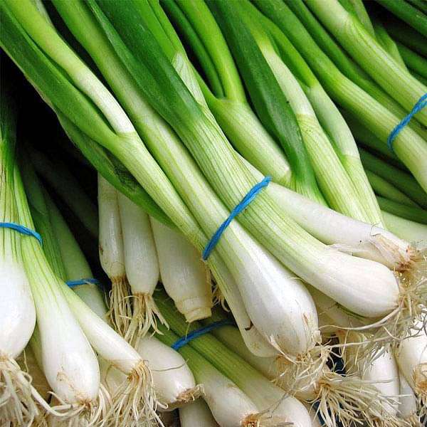 Set of 12 Vegetable Seeds to Sow in April, May in North India