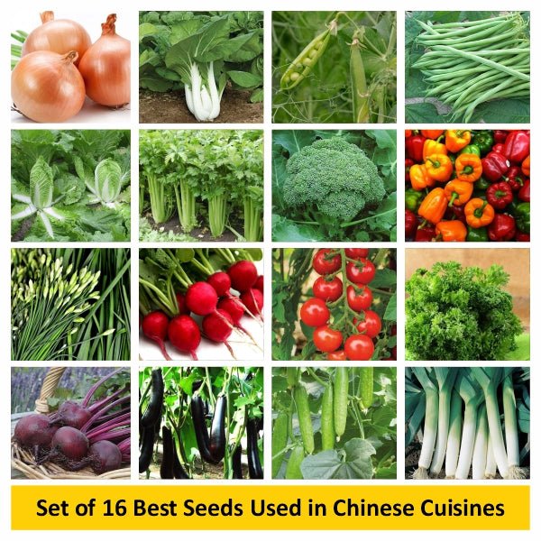 Set of 16 Best Seeds Used in Chinese Cuisines - Image 2