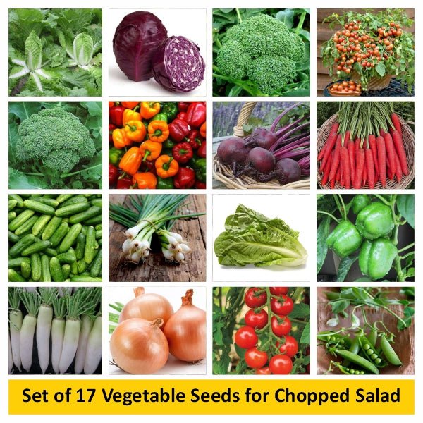 Set of 17 Vegetable Seeds for Chopped Salad - Image 2