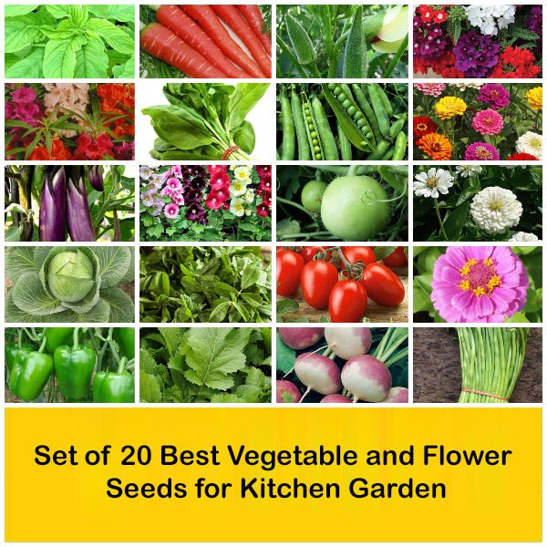 Set of 20 Best Vegetable and Flower Seeds for Kitchen Garden - Image 2