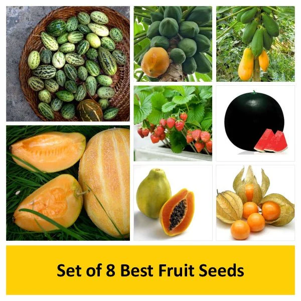 Set of 8 Best Fruit Seeds - Image 2