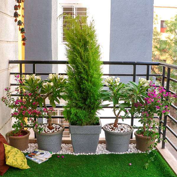 Small Apartment Sunny Balcony Garden - Image 2