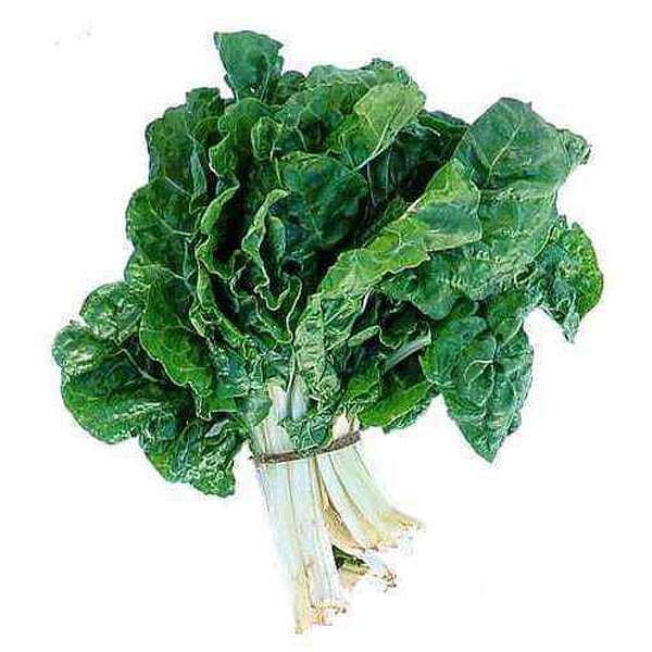 Spinach Kantewali - Desi Vegetable Seeds