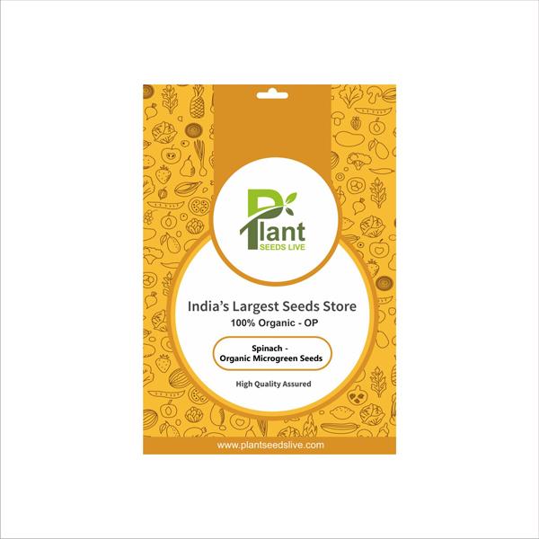 Spinach - Organic Microgreen Seeds - Image 2