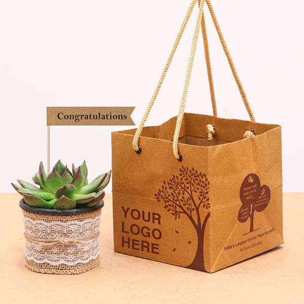 Splendid Succulents - Corporate Gift (set of 30) - Image 2