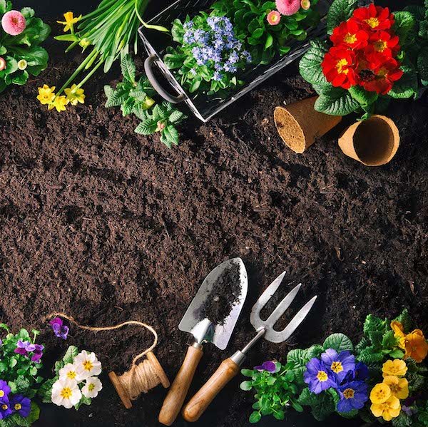 Surprise Garden Gift (Upto Worth ₹100)