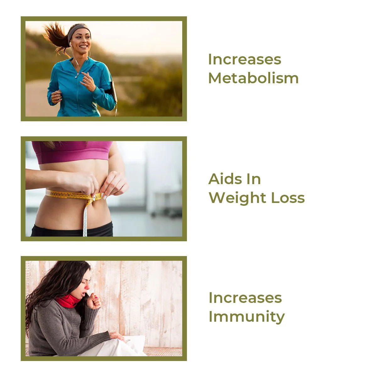 Triphala - 60 Capsules - Image 3