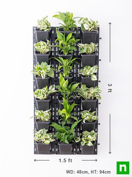 Textured Indoor Green Wall with Best Foliage Plants - Image 3