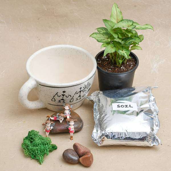 DIY The fairy garden for baby shower - Miniature Garden - Image 2