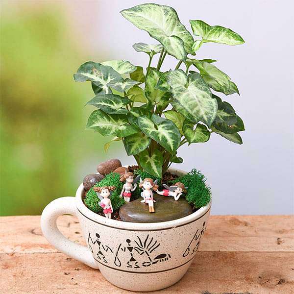 DIY The fairy garden for baby shower - Miniature Garden - Image 3