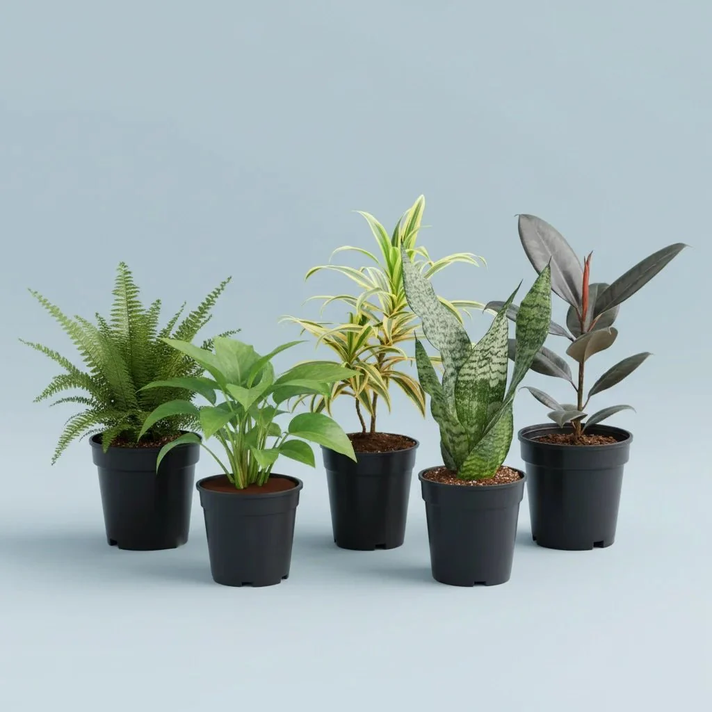 Top 5 Easiest to Grow Plants - Image 2