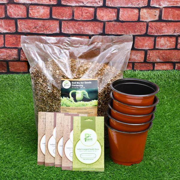 Top 5 vegetable and herb seeds to sow in Winter - Image 2