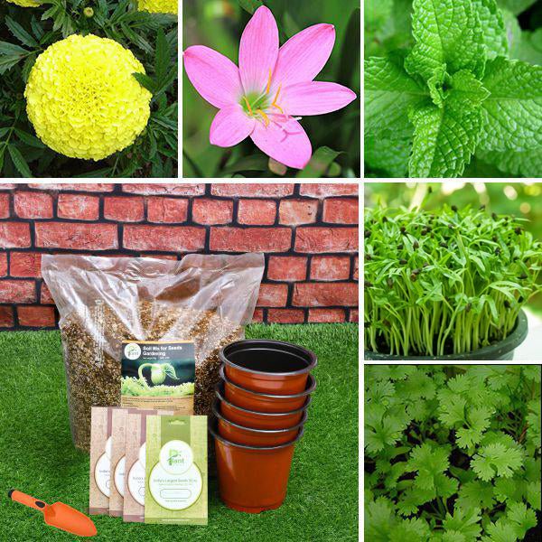 Vacation Special - Kids Learning Garden Kit