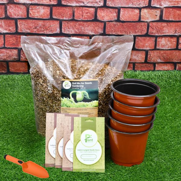 Vacation Special - Kids Learning Garden Kit - Image 2
