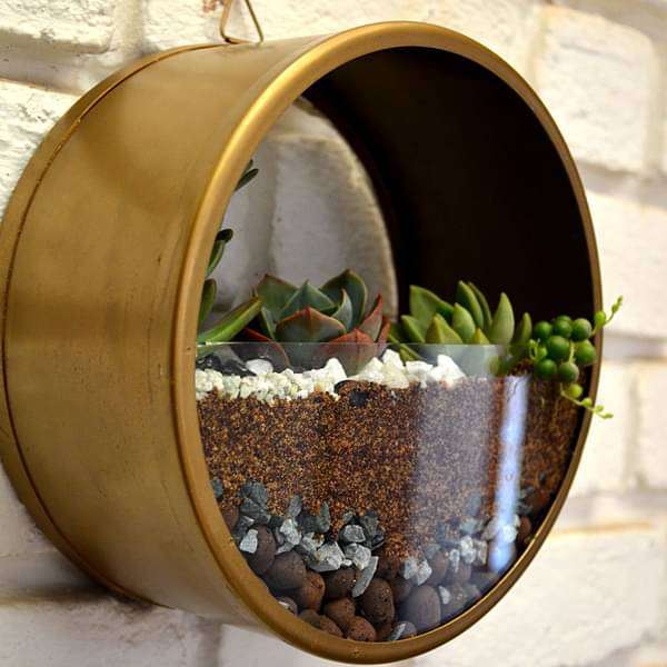 Wall mounting round terrarium (8.5in Ht) - Image 3