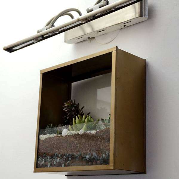 Wall mounting square terrarium (10in Ht) - Image 2
