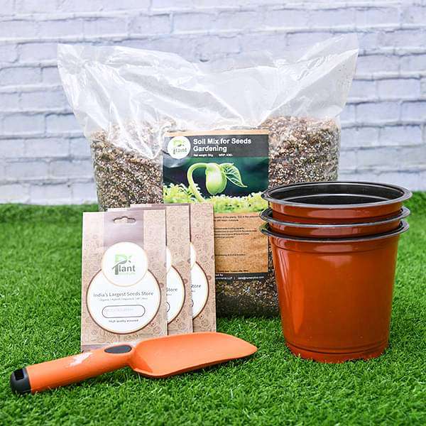 Watch Green Vegetables Grow - Kids Learning Garden Kit - Image 2